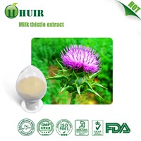 Liver Support Milk Thistle Seed Extracts SilymarinLiver Support Milk Thistle Seed Extracts Silymarin