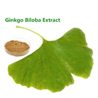 GMP Factory Supply Ginkgo Leaf Extract Meet CP2015 Bulk Powder