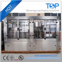 2017 New Hot Sale Automatic Drinking Water Filling Equipment