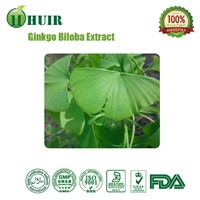 Professional Manufacturer Supply Natural Ginkgo Biloba P. E.