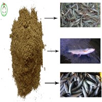 Fish Meal Fishmeal Animal Feed