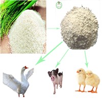 Rice Protein Meal Animal Feed Protein Powder