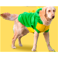 Pet Clothes Dog Cat Dinosaur Suit
