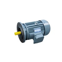 YXJ Series Cycloid Pin Wheel Reducer Special Three Phase Asynchronous Motor