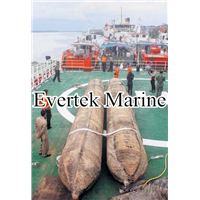 Salvage Marine Inflatable Rubber Boat Pontoon