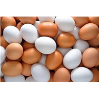 Farm Fresh Chicken Egg White &amp;amp; Brown Size 40g-50g-60g-65g-70g