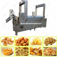 Continuous Peanut Frying Machine|Automatic Peanut Fryer Equipment