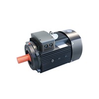 ADL Series Special Three Phase Asynchronous Motor for Stamping Pump