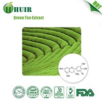 Best Price High Quality Green Tea Extract