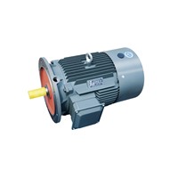 G Series Special Three Phase Asynchronous Motor for Hardened Reducer