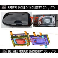 Premium Customized Plastic Injection Car Cargo Carrier Mould