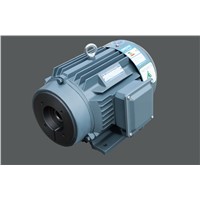 YEB Series Special Three Phase Asynchronous Motor for Oil Pump