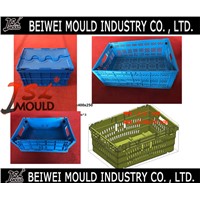 Economy Customized Plastic Folding Container Mould
