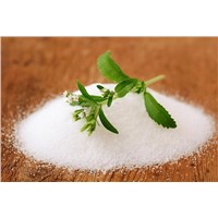 GMP Factory Supply Stevia Extract