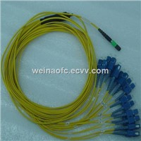 Fiber Optical Patch Cord Cable MPO-SC 24 Core Singlemode