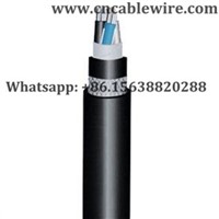 Frequency Conversion Cable