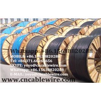 Rubber Sheathed Cable
