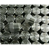 Threaded Plug