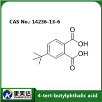 CAS 14236-13-6 4-Tert-Butylphthalic Acid