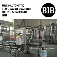 Fully-Automatic 3-25L Bag in Box Filling Machine BIB Packaging Line