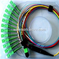 MPO-SC APC 12 Cores Patch Cord Singlemode Jumpers Cables