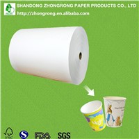 PE Coated Cup Stock Paper