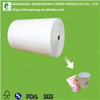 PE Coated Paper Manufacturer & Supplier