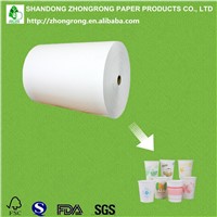 One Side PE Coated Paper Cup Raw Material