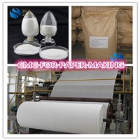 Sodium Carboxymethyl Cellulose( CMC) Paper Making Grade