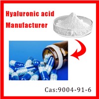 Sodium Hyaluronate Manufacturer Supply Pure Low Price Grade HA Powder
