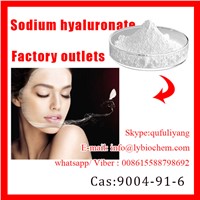 Factory Supply 100% Pure Food Grade Cosmetic Grade Pharma Grade Sodium Hyaluronate