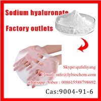 Sodium Hyaluronate Injection Grade/Chemical Cosmetics Sodium Hyaluronate