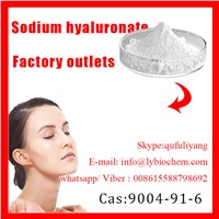 High Purity Hyaluronic Acid Products for Skin Hydrating & Moisturizing