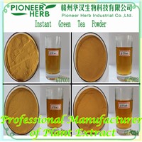 Instant Green Tea Powder, Green Tea Extract