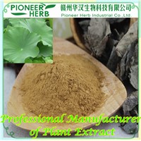 Lotus Leaf Extract, Nuciferine Factory