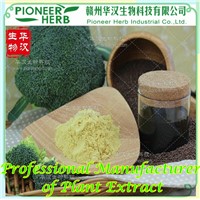 Sulforaphane, Broccoli Seed Extract, Broccoli Extract Manufacturer