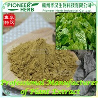 Mulberry Leaf Extract, DNJ, 1-Deoxynojirimycin Manufacturer