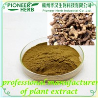 Solomonseal Rhizome Extract, Solomonseal Polysaccharide Manufacturer