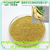 Ginseng Extract, Panaxoside Manufacturer