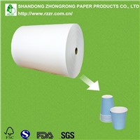 PE Coated Paper for Paper Glass