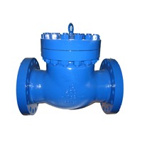 Low Price A351 CF8M Carbon Steel Swing Check Valve