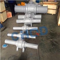 API6D Forged Stainless Steel Trunnion Mounted Ball Valve