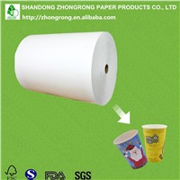 Poly Coated Paperboard