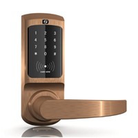 Biometric Hotel Lock System Card &amp;amp; Password Door Lock