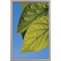 Lockable Weatherproof Frame 24'' X 36''Inches Poster Size 1.38" Aluminium Profile Black & Silver Color Mitred Corner