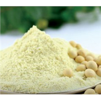Soybean Powder, Glycine Max Powder