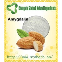 Amygdalin/Bitter Almond Extract/Herbal Extract