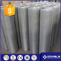 Cheap Galvanized Welded Wire Mesh with Good Quality