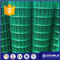 Steel PVC Coated Welded Wire Mesh Roll with Good Quality