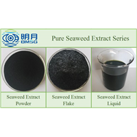 Blue Energy High Quality Soluble Seaweed Extract Powder